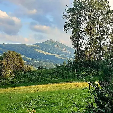 Отель Wellnesshof Mueller Vorderburg